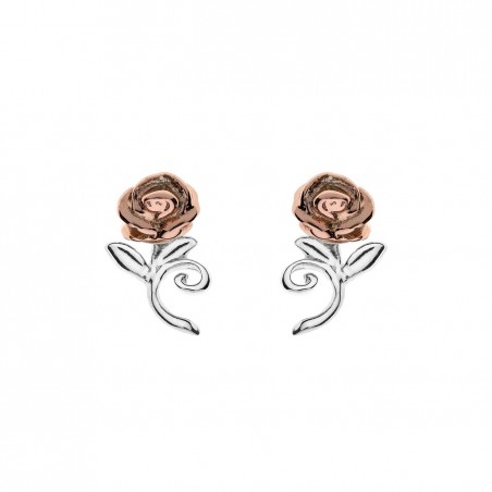 Earrings Princess