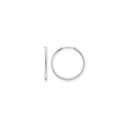 Boucles d'Oreilles Grandes