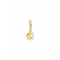 Colgante Charm Sol Oro