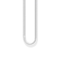 Halskette Silberne Schlange