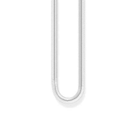 Necklace Silver Snake