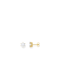 Ear Studs White Zirconia Gold Plated