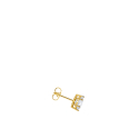Ear Studs White Zirconia Gold Plated
