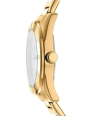 Chambers Multi Sport - Gold