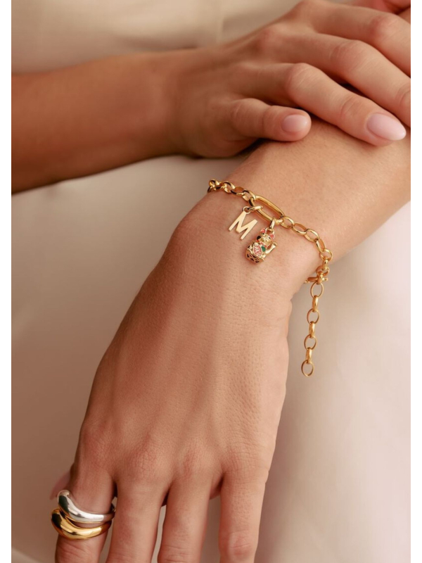 Charm-Armband mit vergoldetem Connect-Glied
