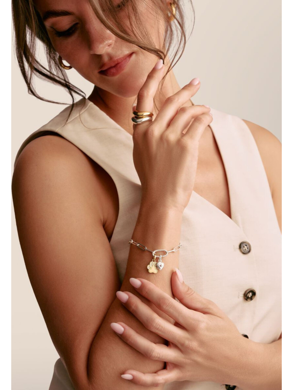 Charm Pendant Paw with Stones Connect Gold-Plated