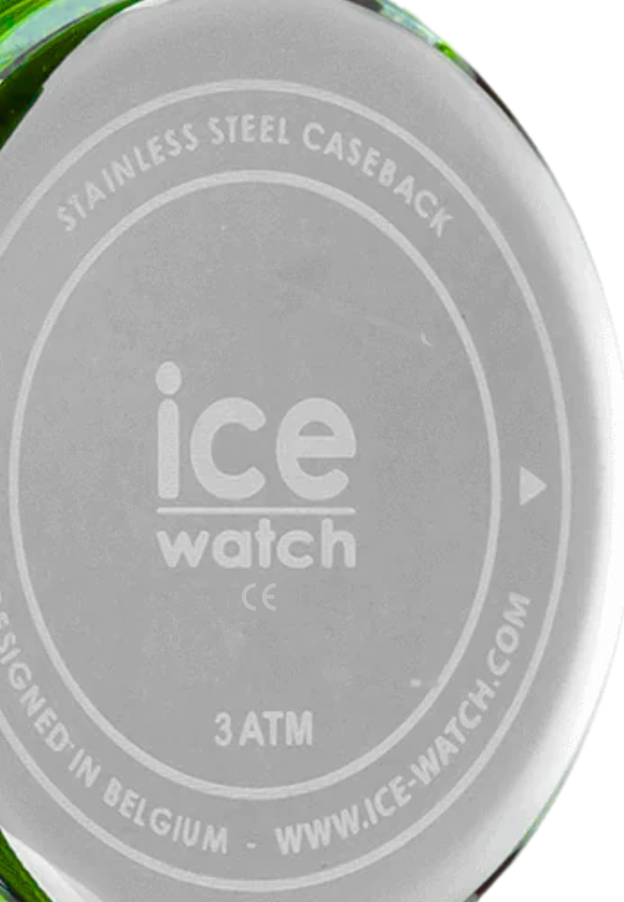 ICE Watch - Find Dino
