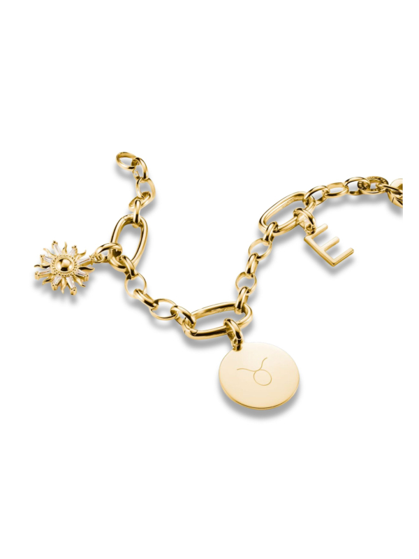 Charm pendant large coin Connect gold-plated