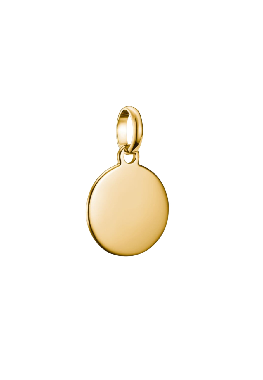 Colgante Charm Moneda Connect Chapado en Oro