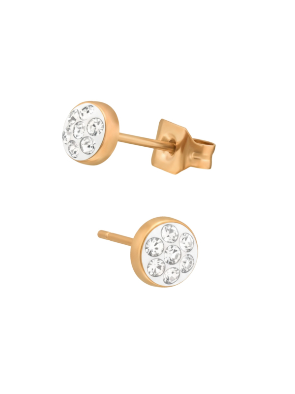 Pendientes de Acero Quirúrgico Redondos de 4 mm Oro Rosa con Cristal