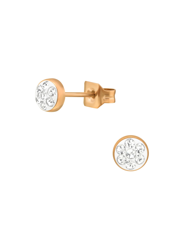 Rose Gold Surgical Steel Round 4mm Ear Studs with Crystal