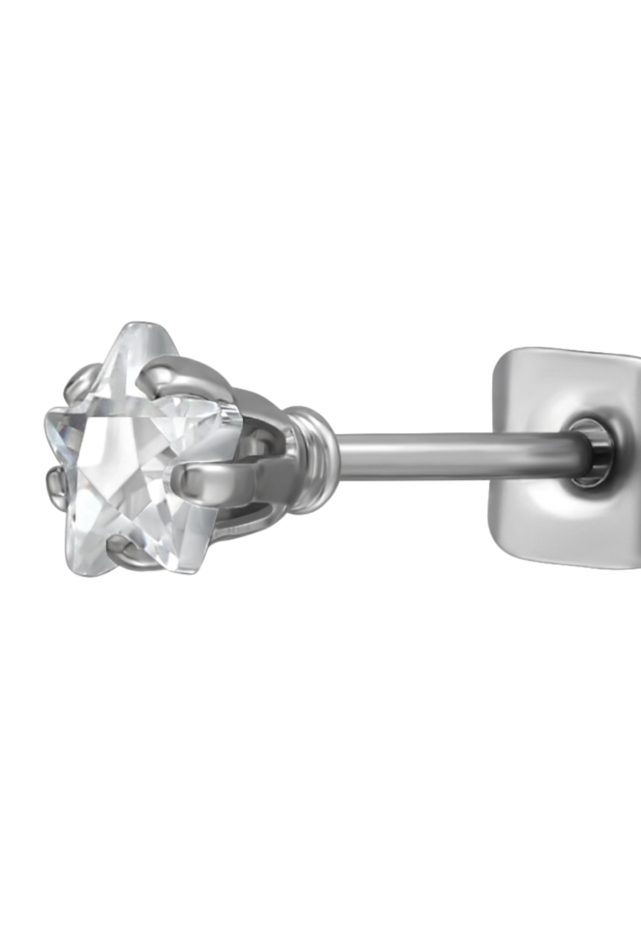 4mm Star Stainless Steel Ear Studs with Cubic Zirconia