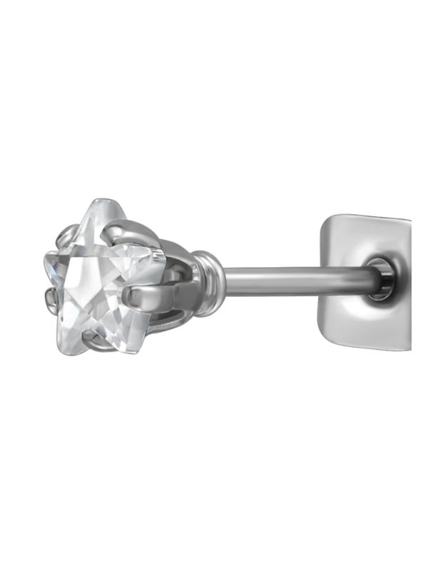 Puces d'Oreilles Étoile 4 mm en Acier Inoxydable avec Zircone Cubique