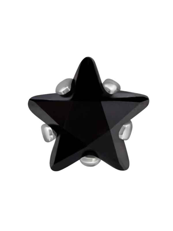 6mm Star Stainless Steel Ear Studs with Cubic Zirconia