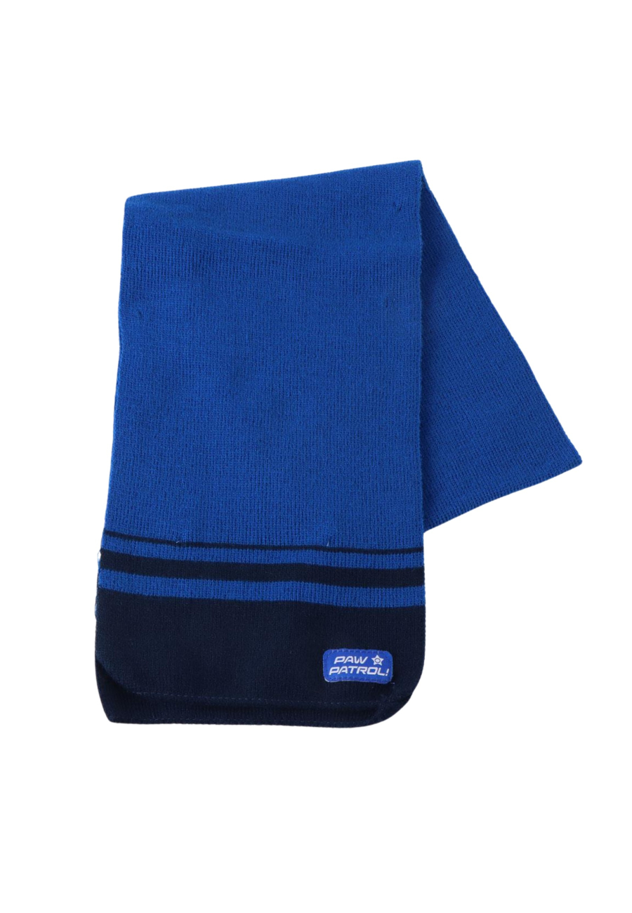 Conjunto de Invierno de 3 Piezas de PAW Patrol