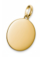 Charm pendant large coin Connect gold-plated