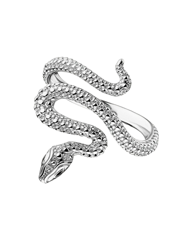 Silver Snake Ring Tempting Romance