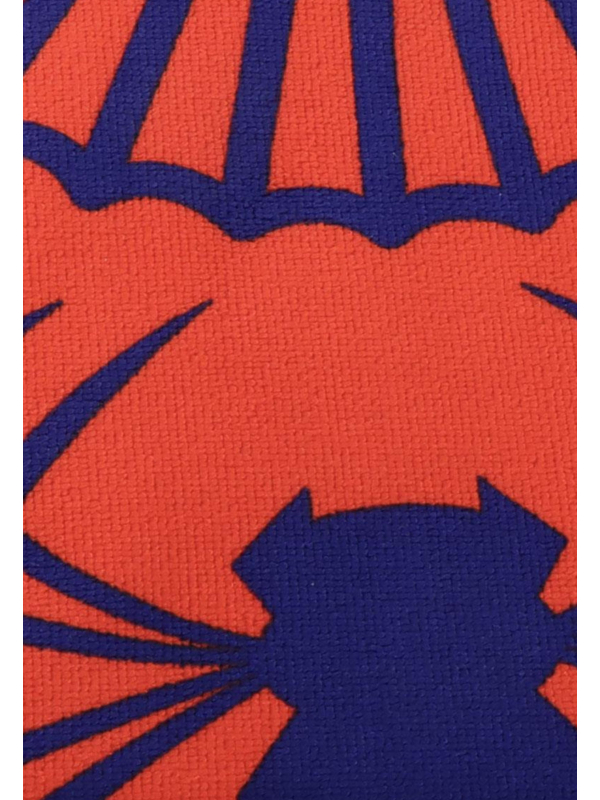 Poncho en Polyester Spiderman